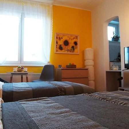 Bgmignonne, So Cozy, So Relaxing, So Near Center Apartment Belgrad Exterior foto
