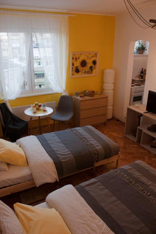 Bgmignonne, So Cozy, So Relaxing, So Near Center Apartment Belgrad Exterior foto